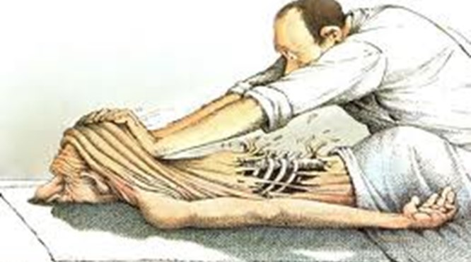 Fysiotherapie in Nederland 2023